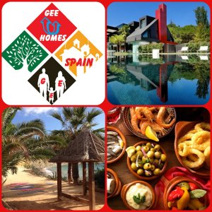 collage GEE -RESOLUTION