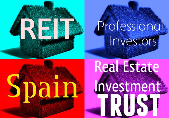 collage 334 web reit